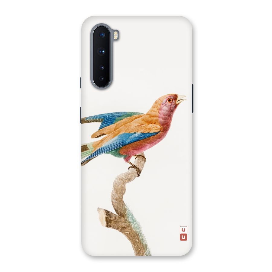 Beautiful Bird Back Case for OnePlus Nord