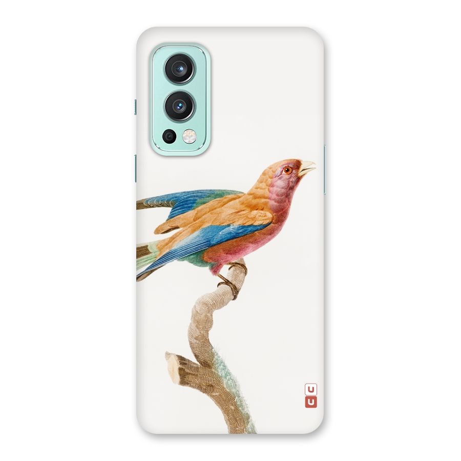 Beautiful Bird Back Case for OnePlus Nord 2 5G