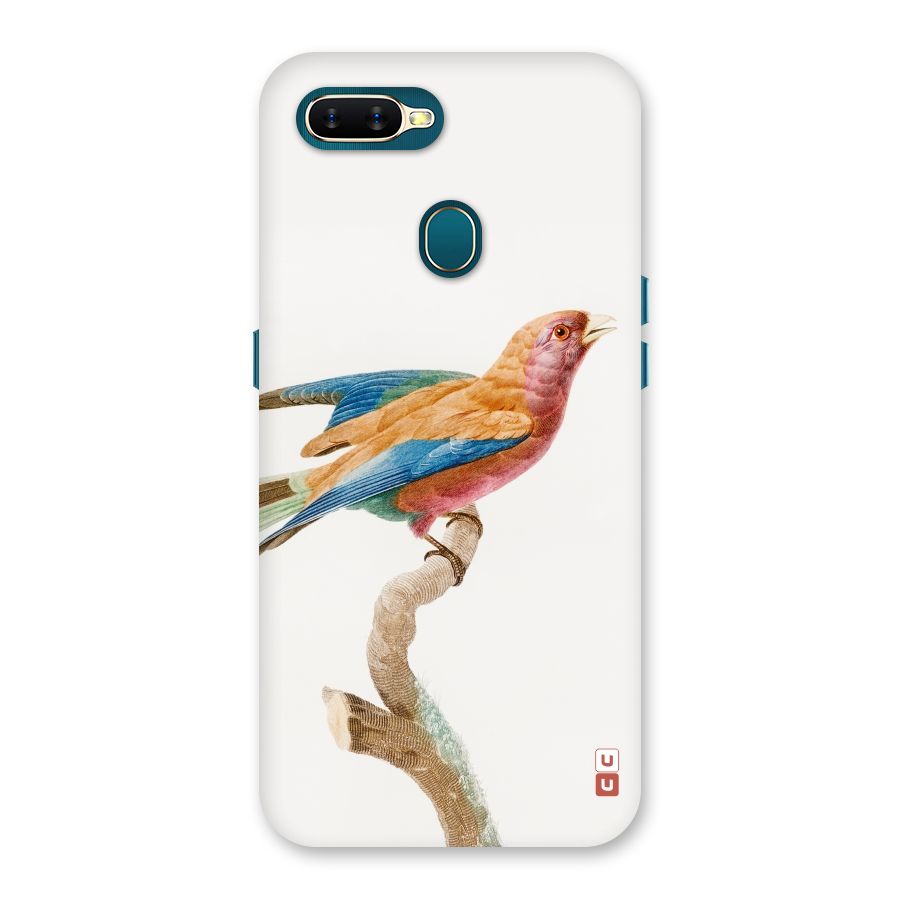 Beautiful Bird Back Case for Oppo A11k
