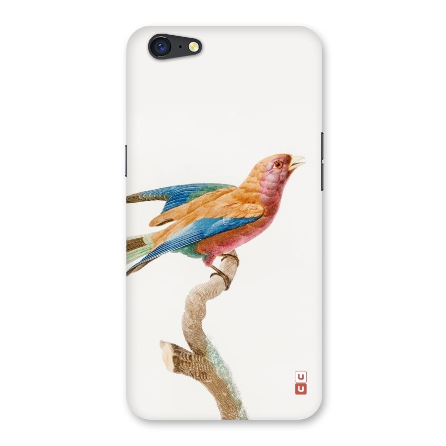 Beautiful Bird Back Case for Oppo A71