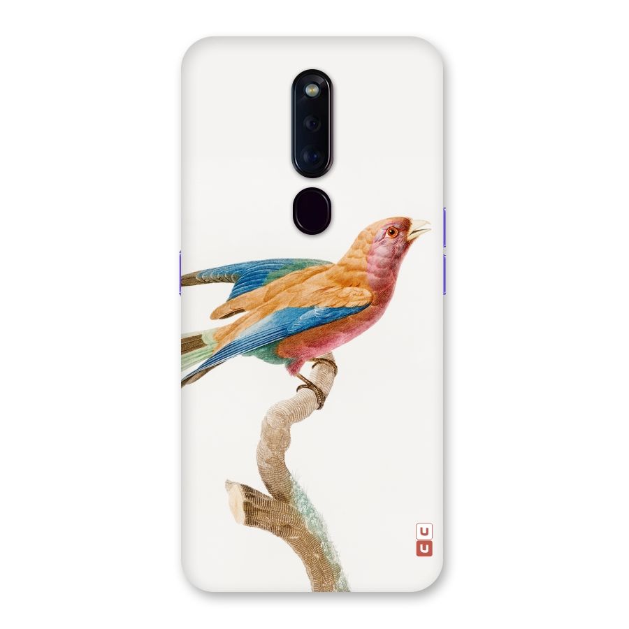Beautiful Bird Back Case for Oppo F11 Pro