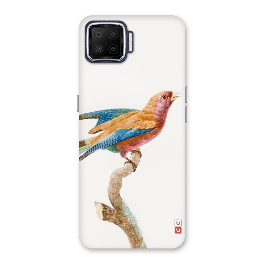 Beautiful Bird Back Case for Oppo F17