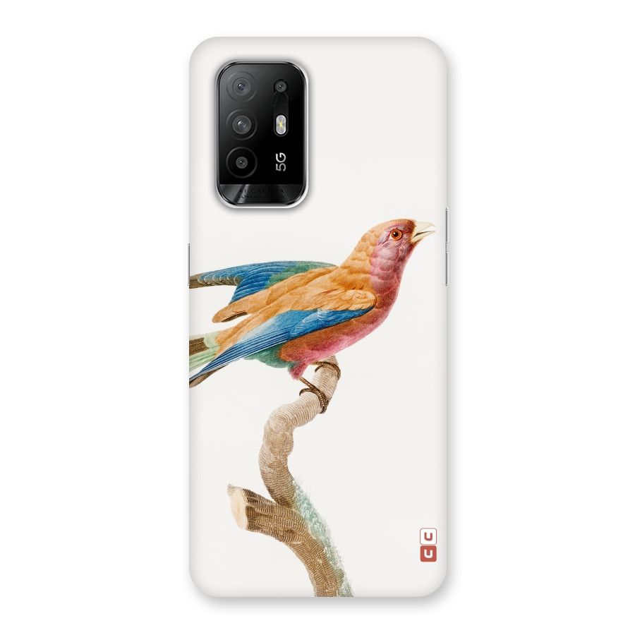 Beautiful Bird Back Case for Oppo F19 Pro Plus 5G