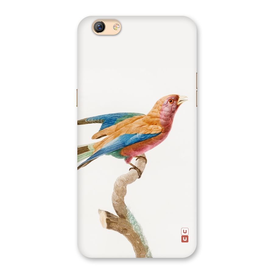 Beautiful Bird Back Case for Oppo F3 Plus