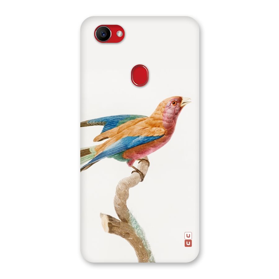 Beautiful Bird Back Case for Oppo F7