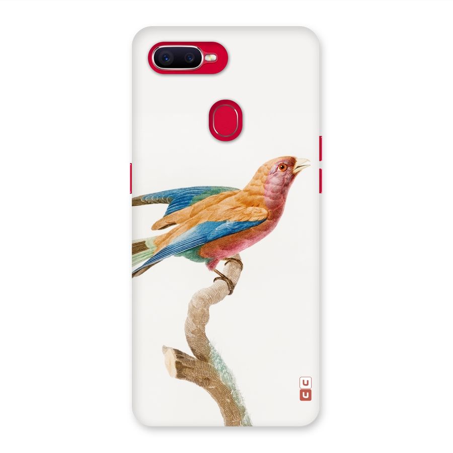Beautiful Bird Back Case for Oppo F9 Pro
