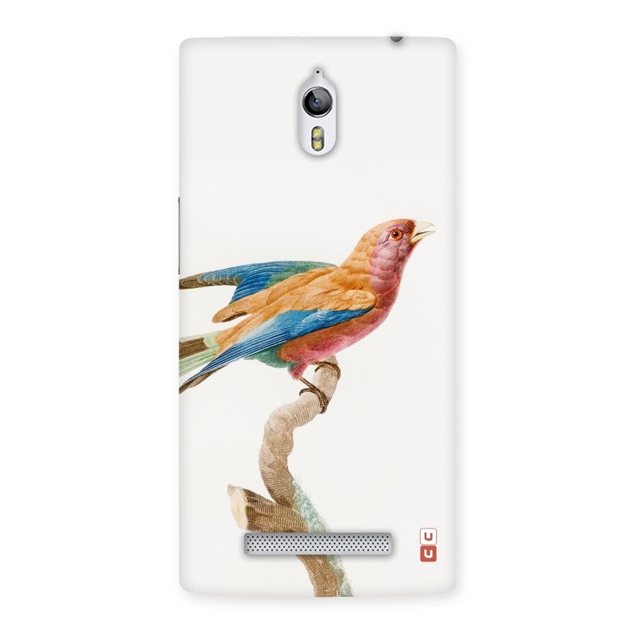 Beautiful Bird Back Case for Oppo Find 7