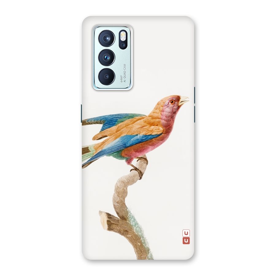 Beautiful Bird Back Case for Oppo Reno6 Pro 5G