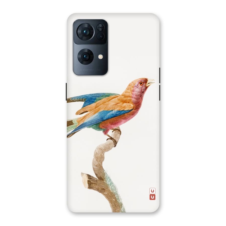 Beautiful Bird Back Case for Oppo Reno7 Pro 5G