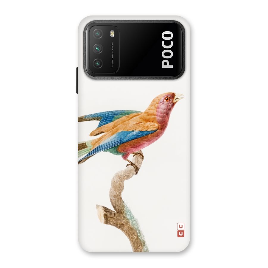 Beautiful Bird Back Case for Poco M3