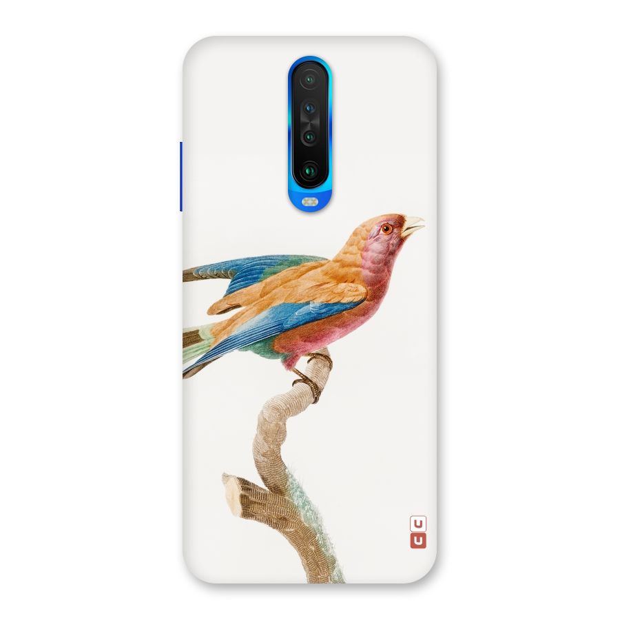 Beautiful Bird Back Case for Poco X2