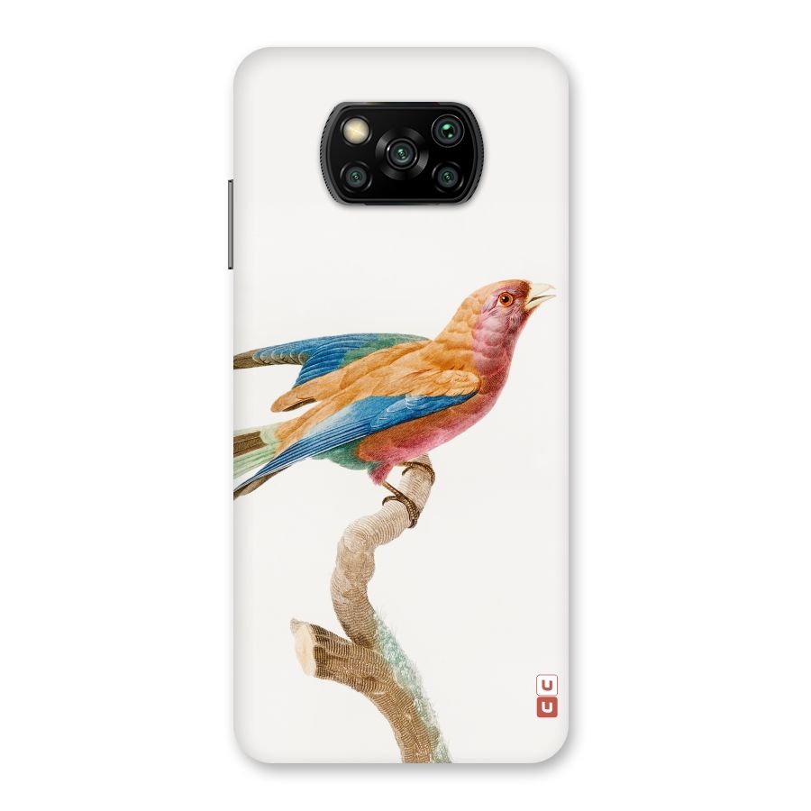 Beautiful Bird Back Case for Poco X3