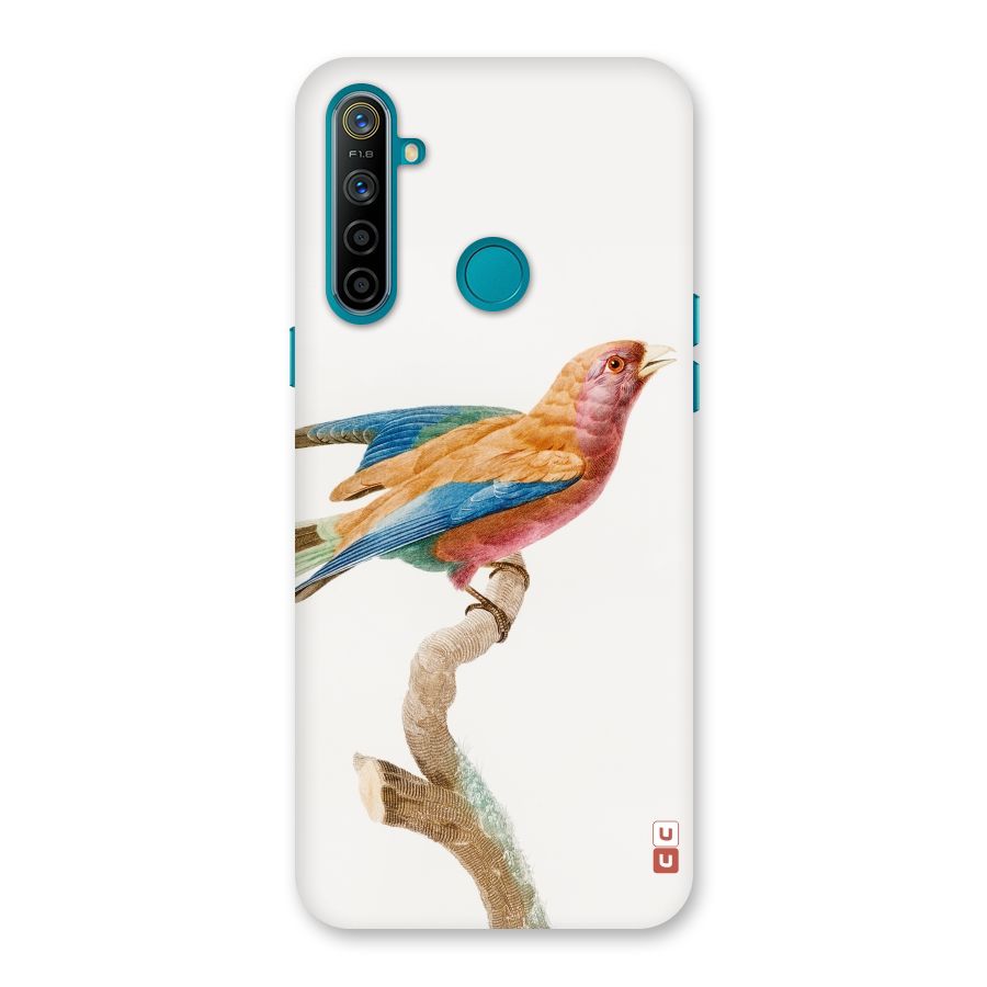 Beautiful Bird Back Case for Realme 5i