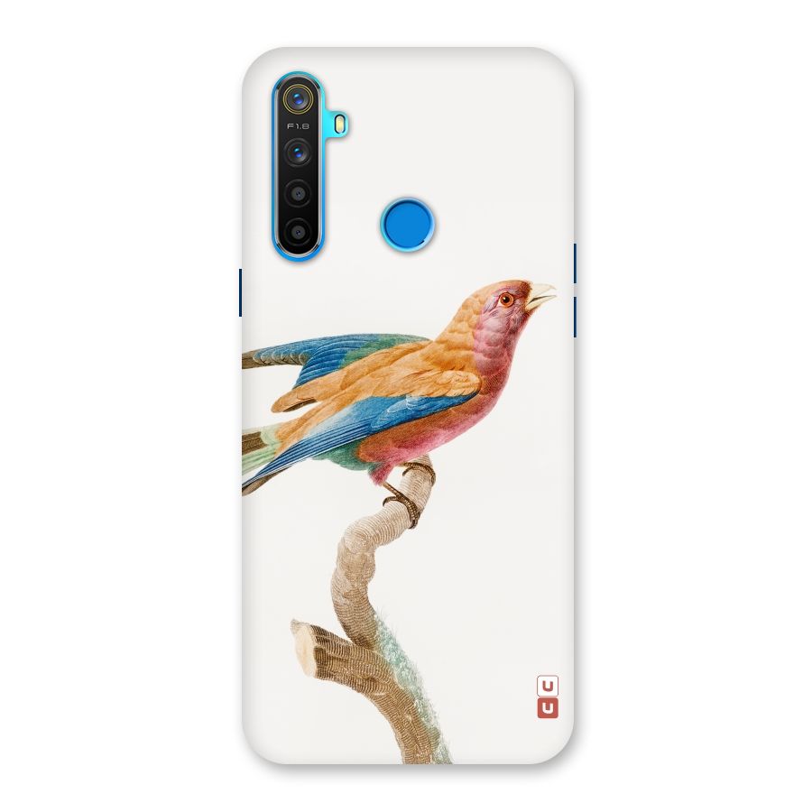 Beautiful Bird Back Case for Realme 5s