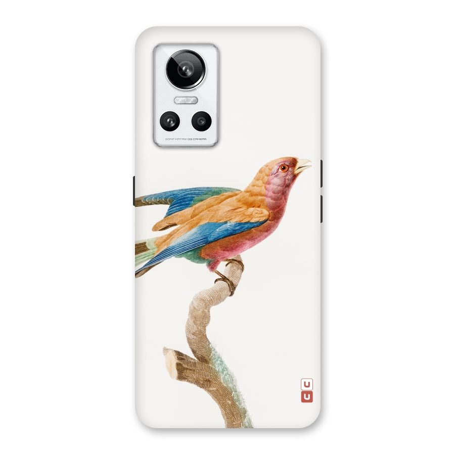 Beautiful Bird Back Case for Realme GT Neo 3