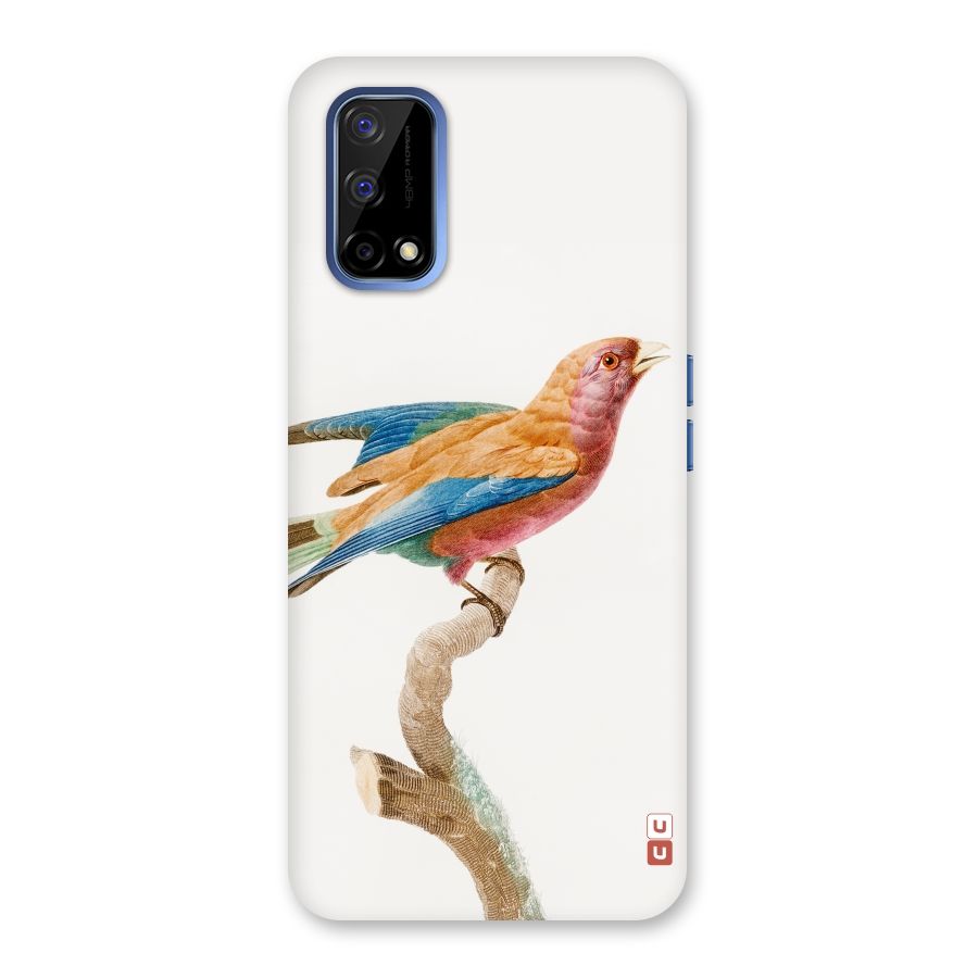 Beautiful Bird Back Case for Realme Narzo 30 Pro