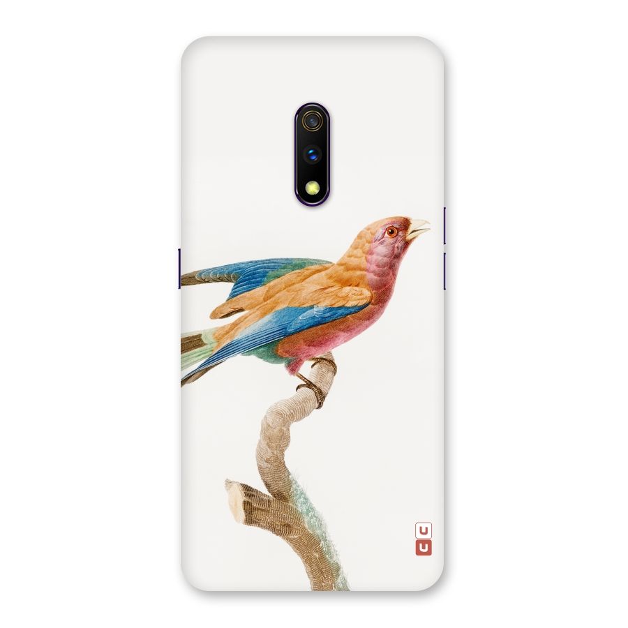 Beautiful Bird Back Case for Realme X
