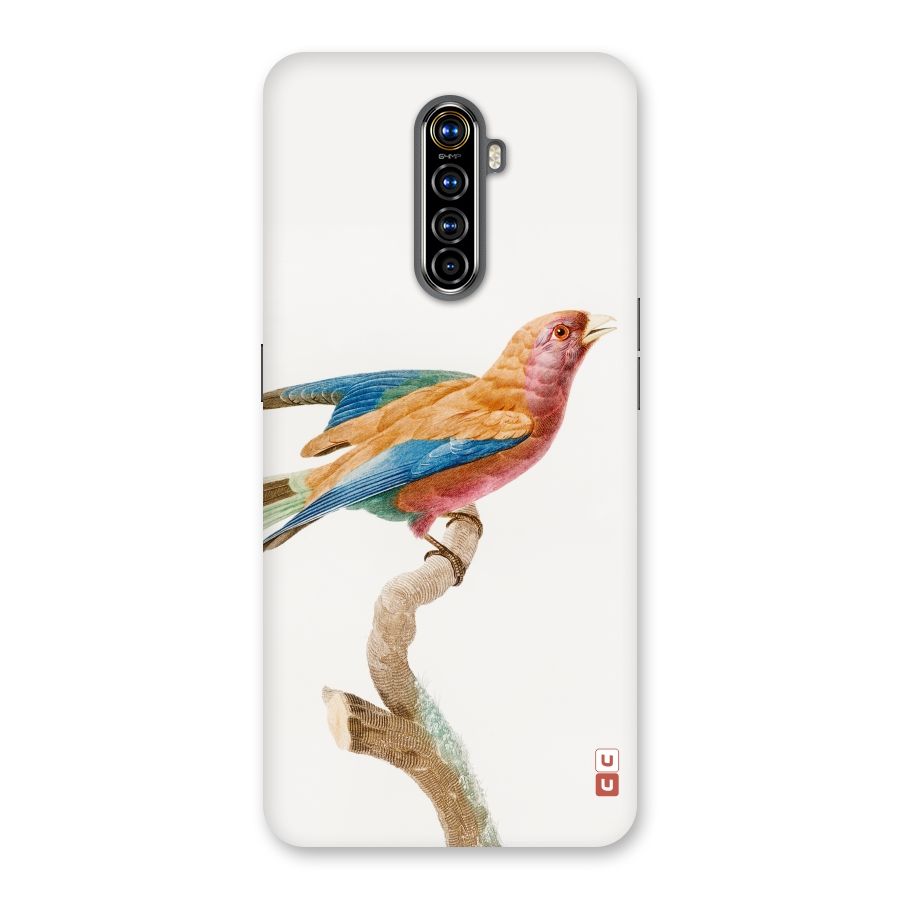 Beautiful Bird Back Case for Realme X2 Pro