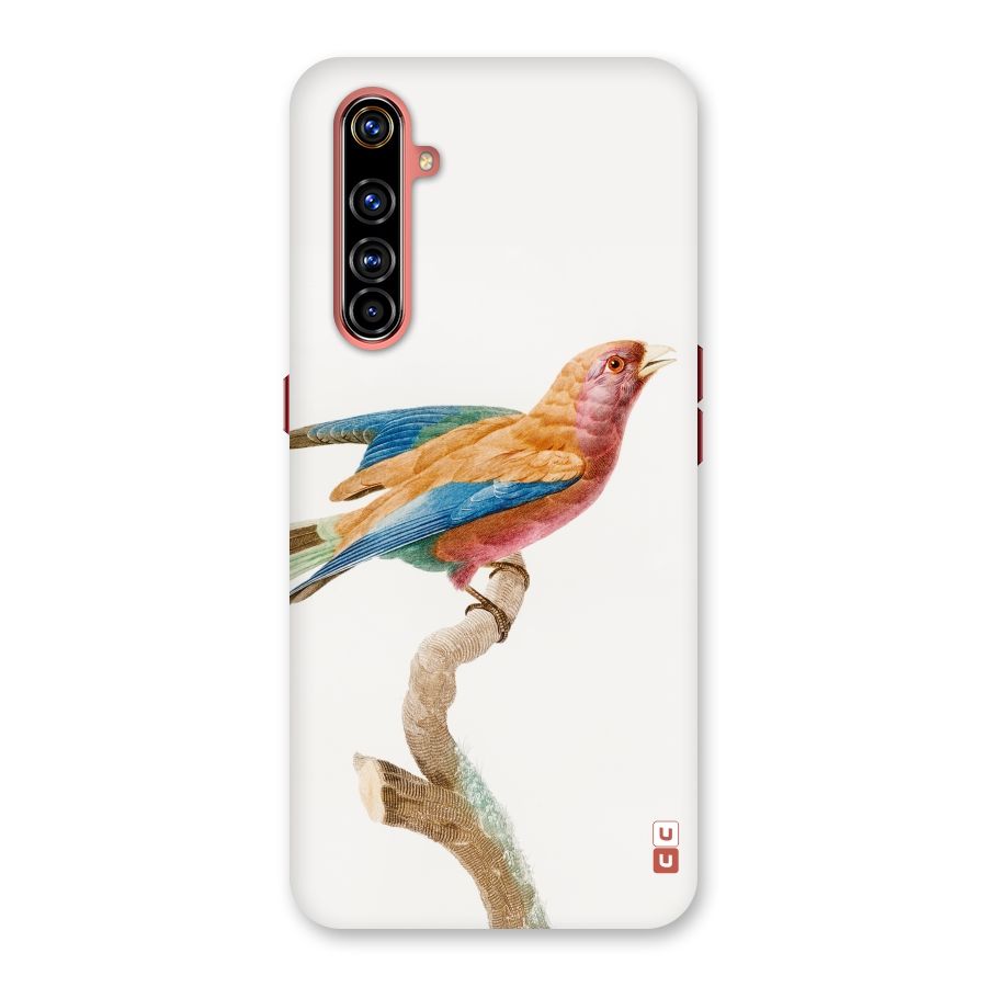 Beautiful Bird Back Case for Realme X50 Pro