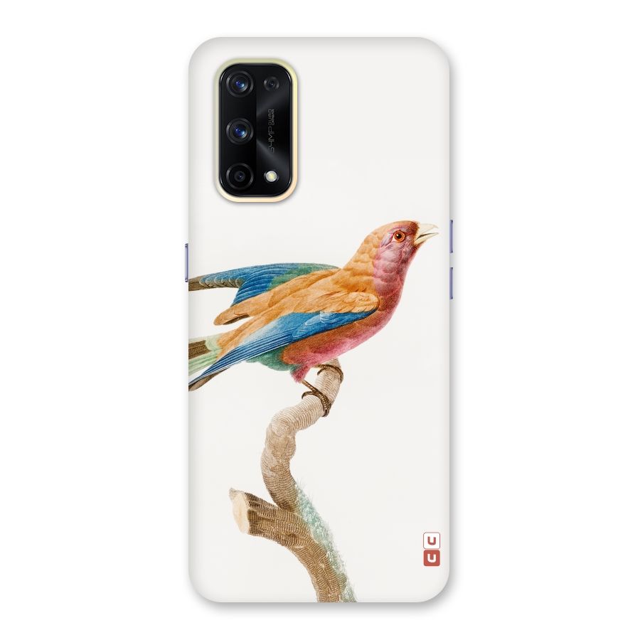 Beautiful Bird Glass Back Case for Realme X7 Pro