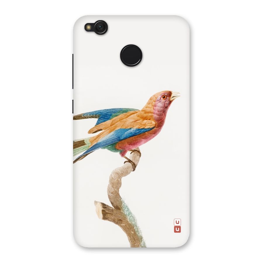 Beautiful Bird Back Case for Redmi 4