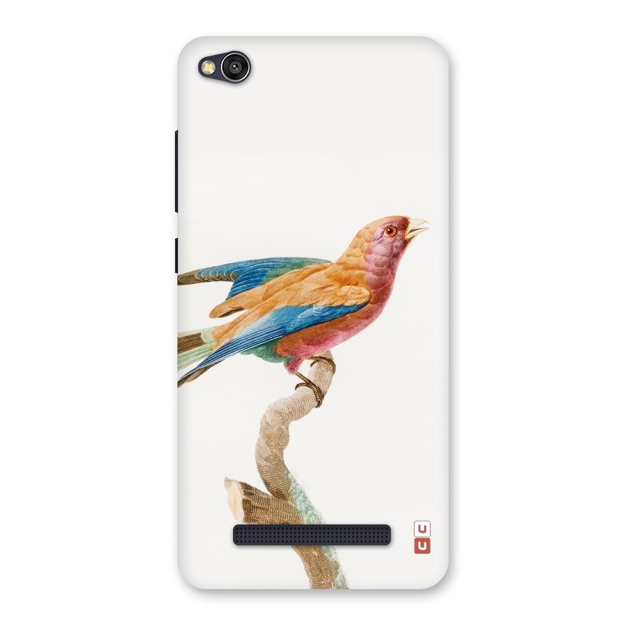 Beautiful Bird Back Case for Redmi 4A