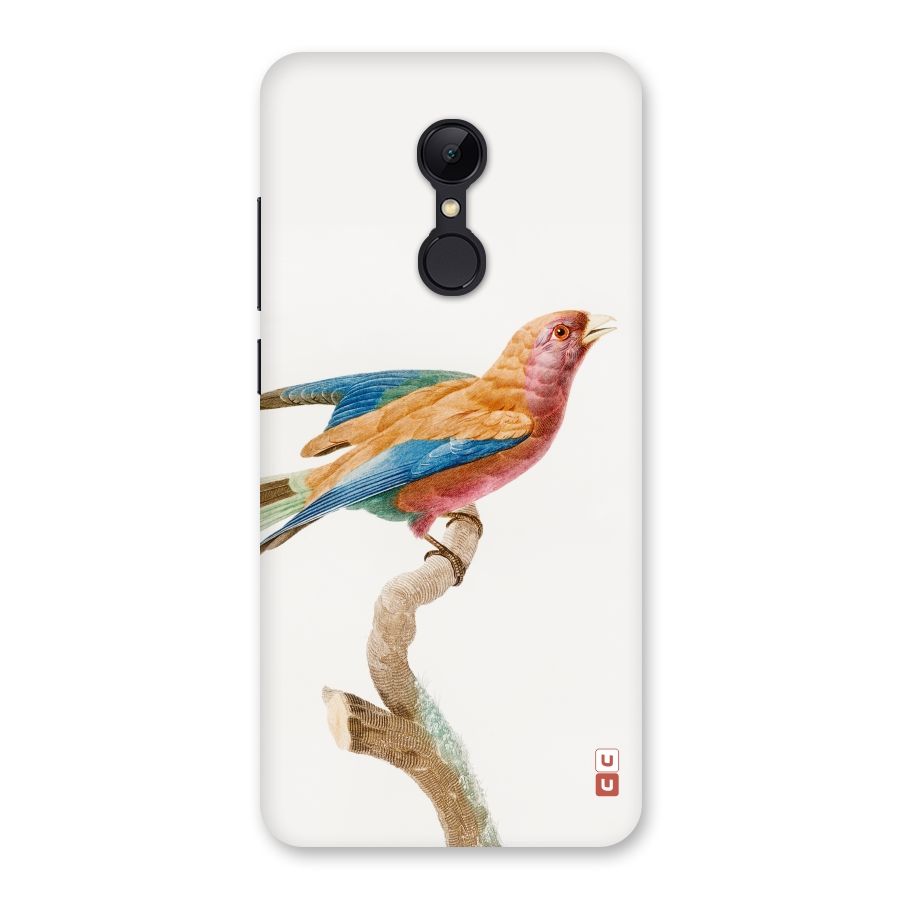 Beautiful Bird Back Case for Redmi 5