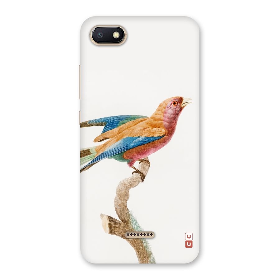 Beautiful Bird Back Case for Redmi 6A