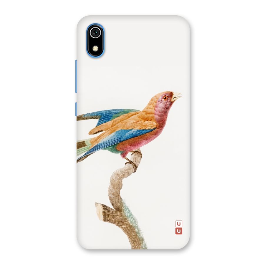 Beautiful Bird Back Case for Redmi 7A