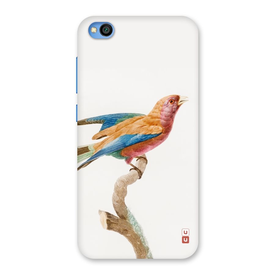 Beautiful Bird Back Case for Redmi Go