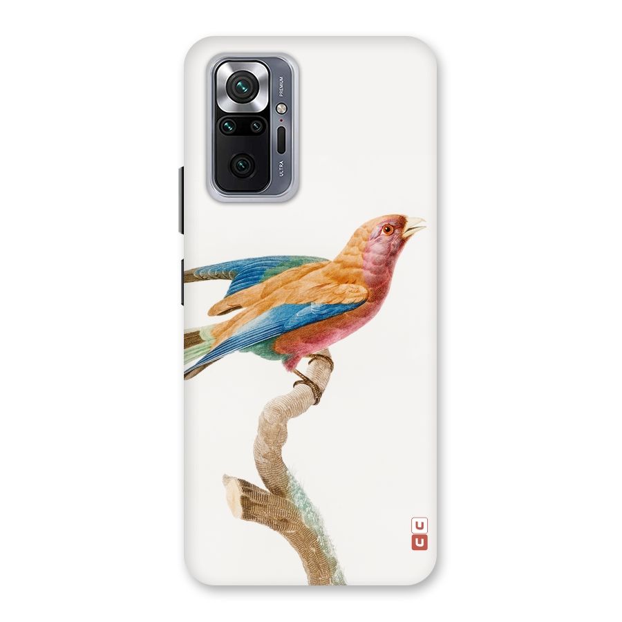 Beautiful Bird Back Case for Redmi Note 10 Pro