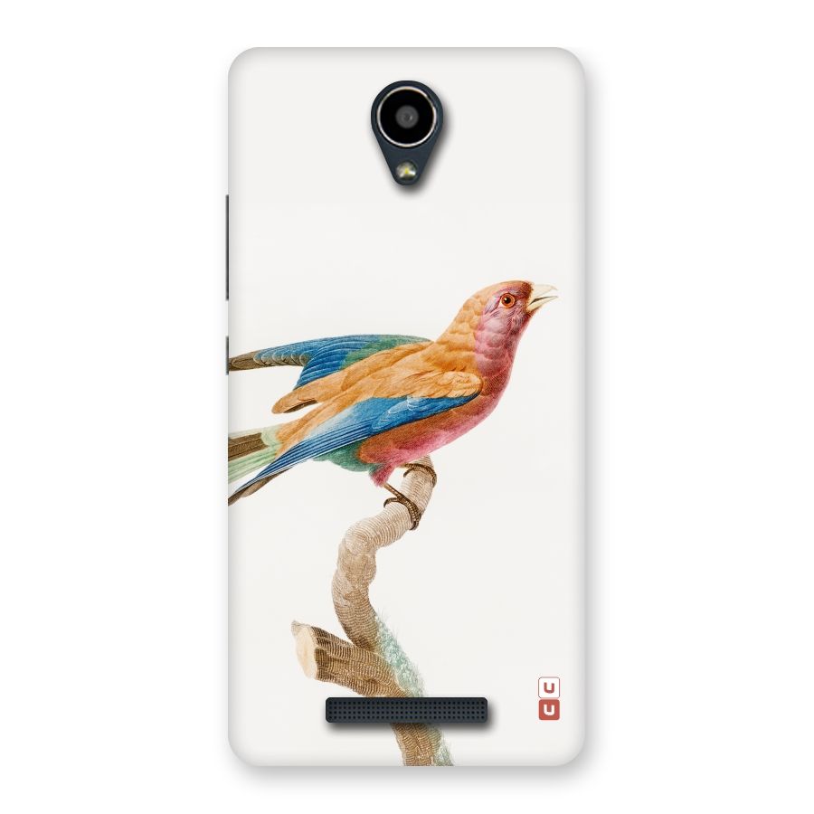 Beautiful Bird Back Case for Redmi Note 2