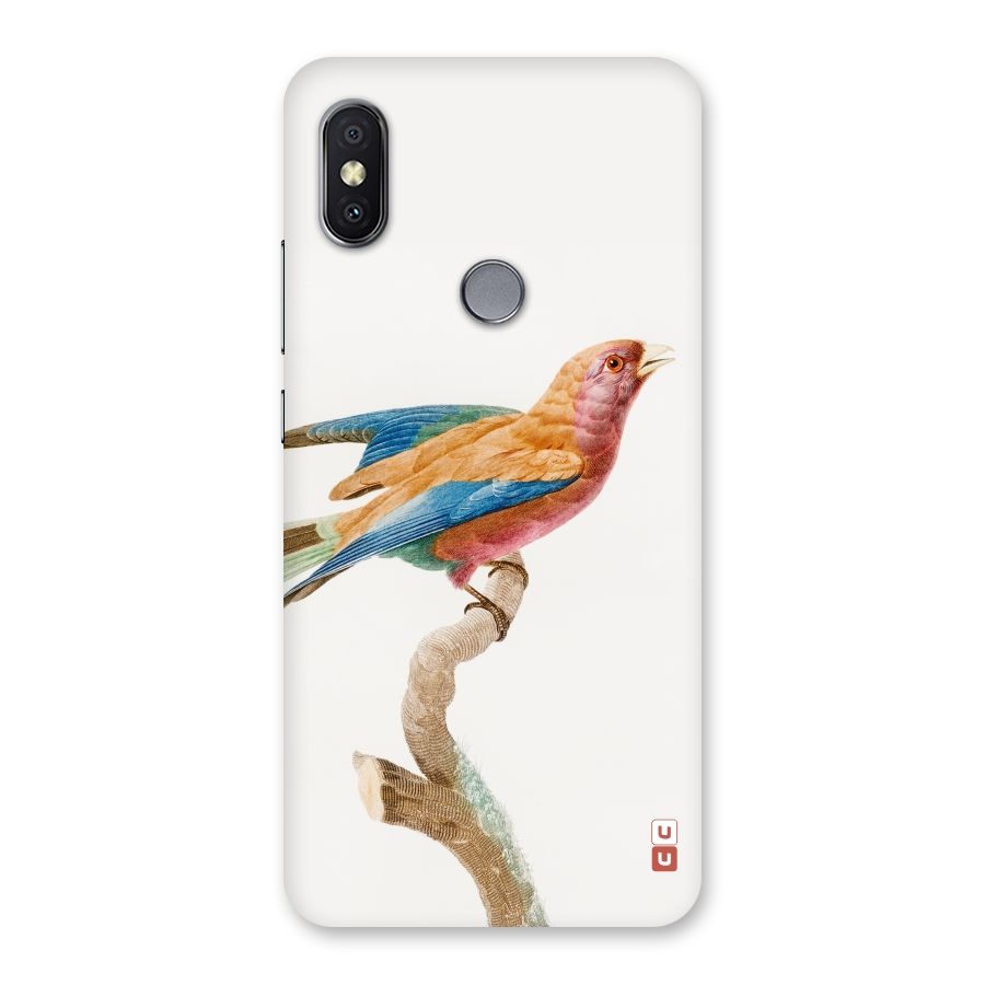 Beautiful Bird Back Case for Redmi Y2