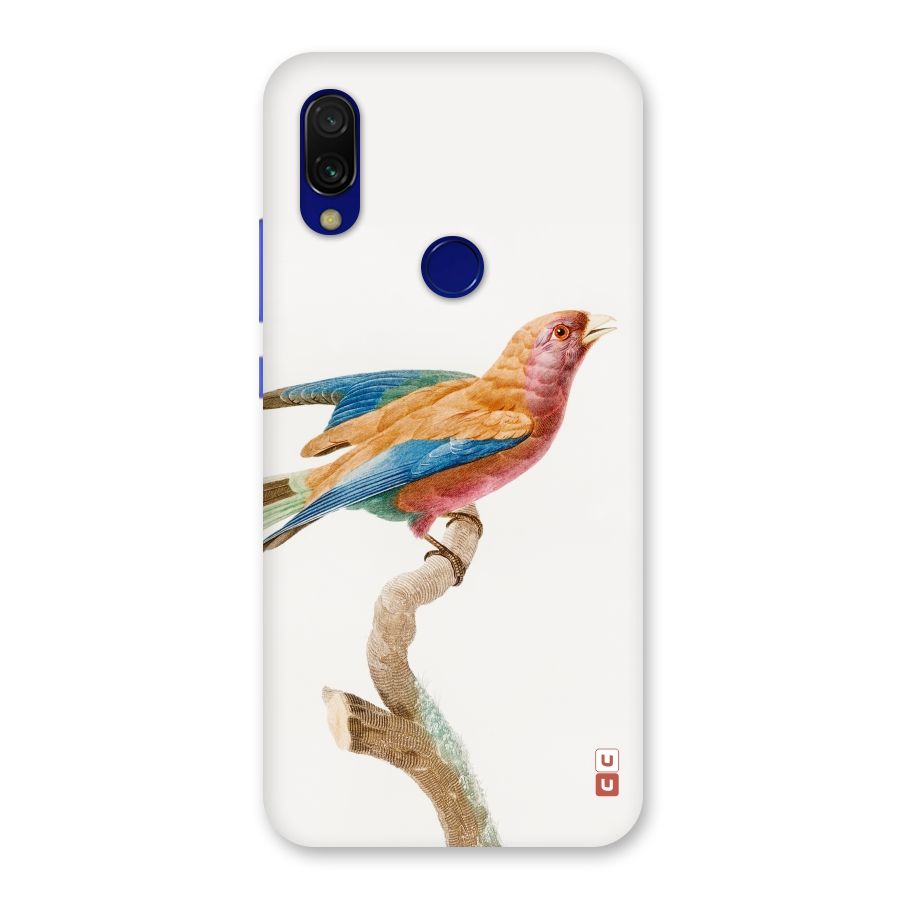 Beautiful Bird Back Case for Redmi Y3