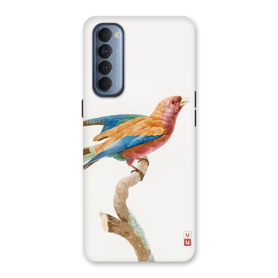 Beautiful Bird Back Case for Reno4 Pro
