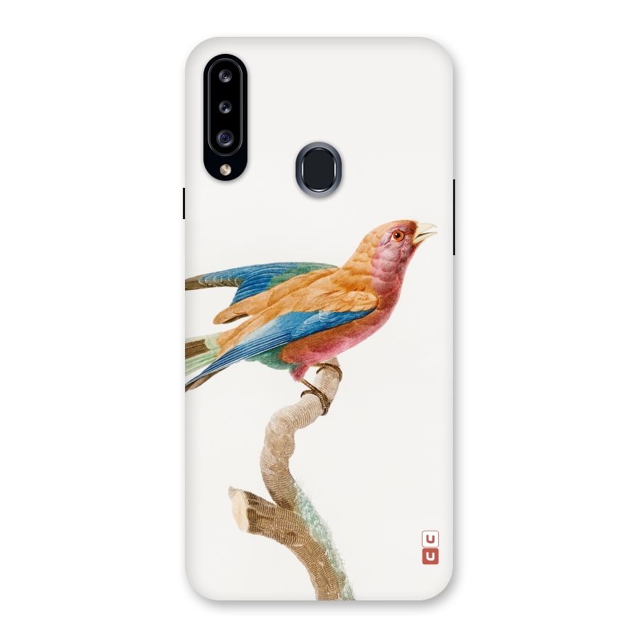 Beautiful Bird Back Case for Samsung Galaxy A20s
