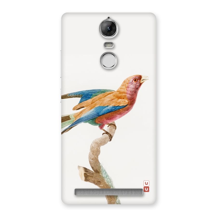 Beautiful Bird Back Case for Vibe K5 Note