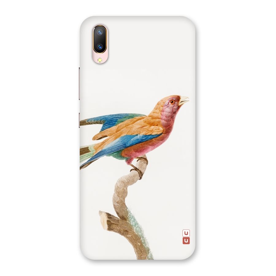 Beautiful Bird Back Case for Vivo V11 Pro