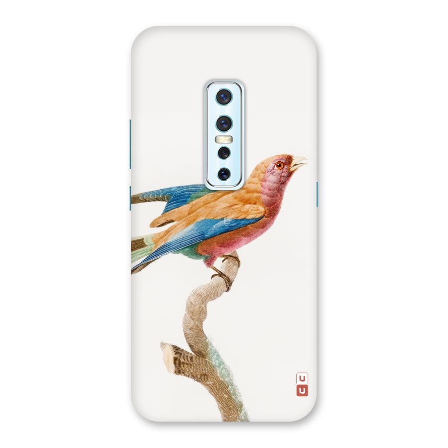Beautiful Bird Back Case for Vivo V17 Pro