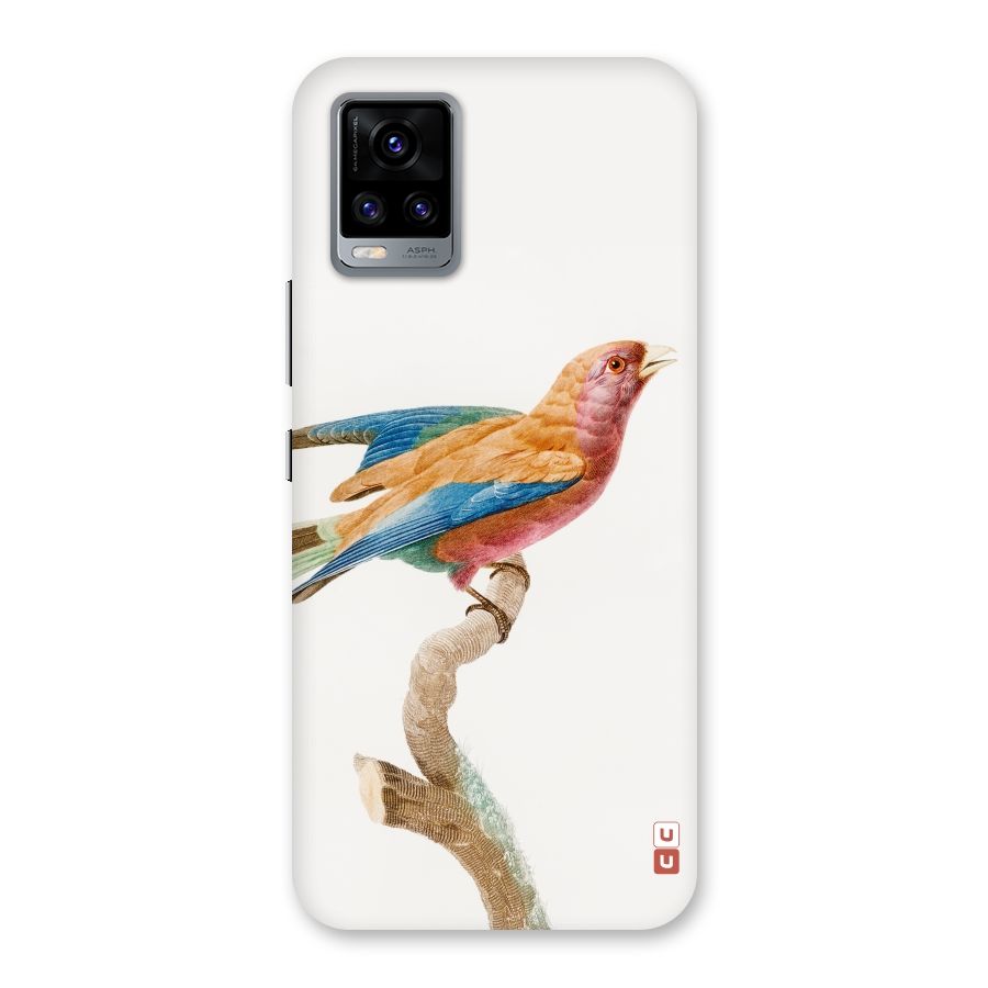 Beautiful Bird Back Case for Vivo V20