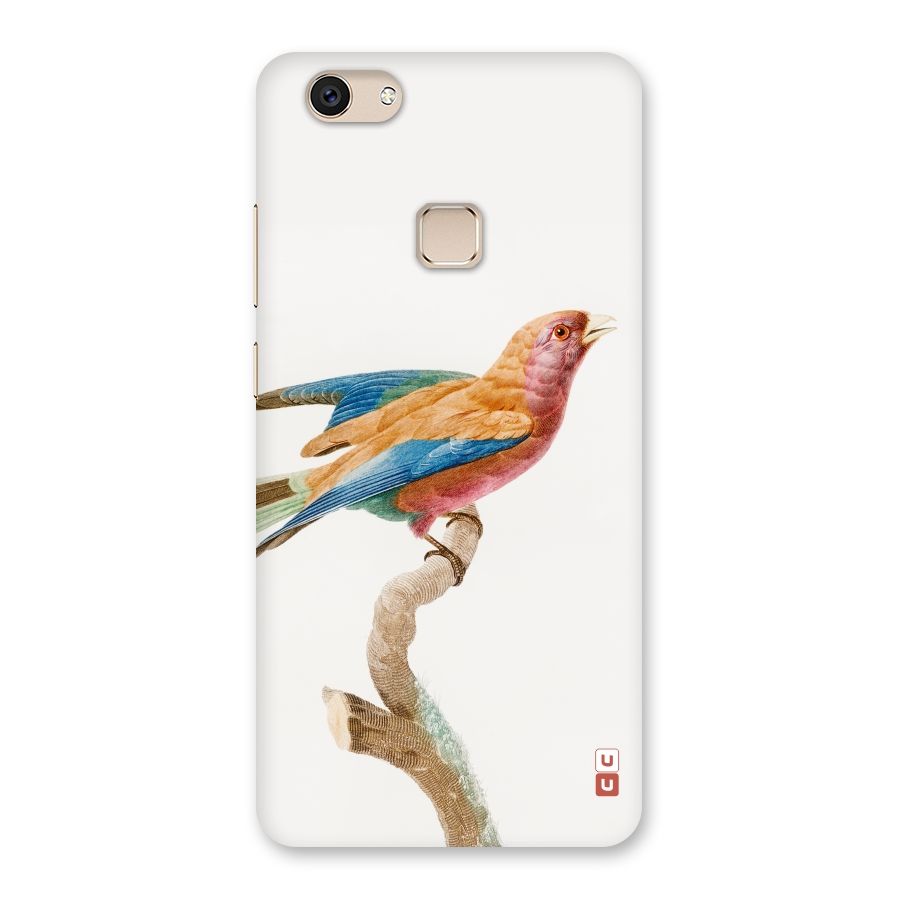 Beautiful Bird Back Case for Vivo V7