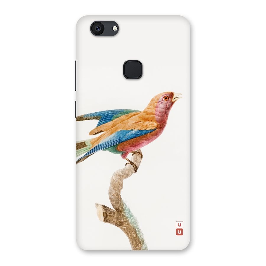 Beautiful Bird Back Case for Vivo V7 Plus