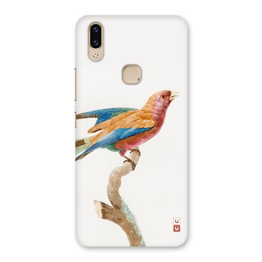 Beautiful Bird Back Case for Vivo V9 Youth