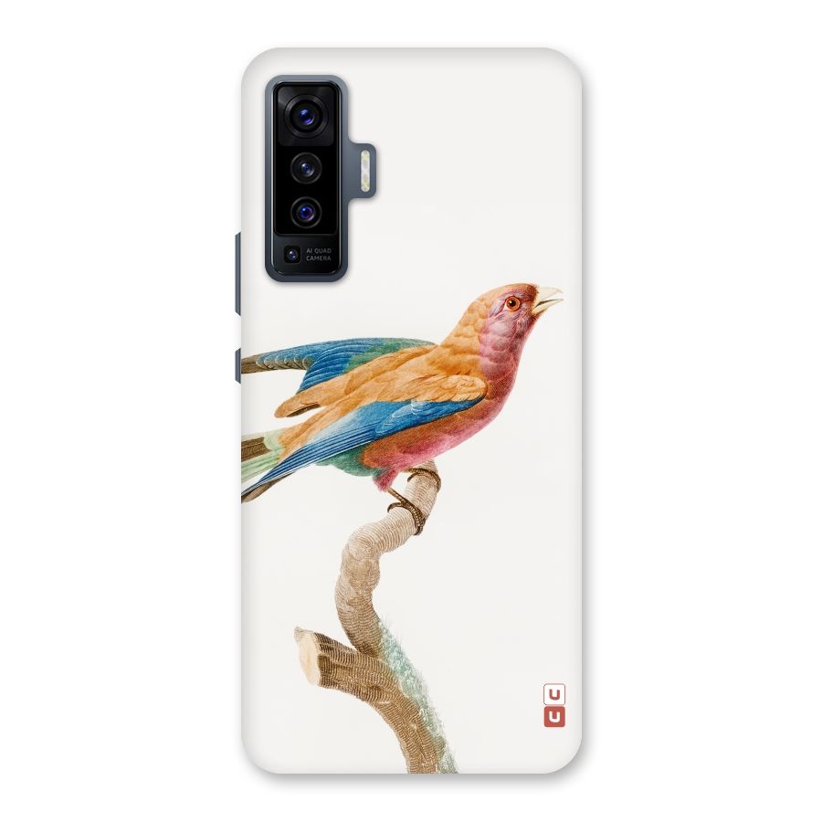 Beautiful Bird Back Case for Vivo X50