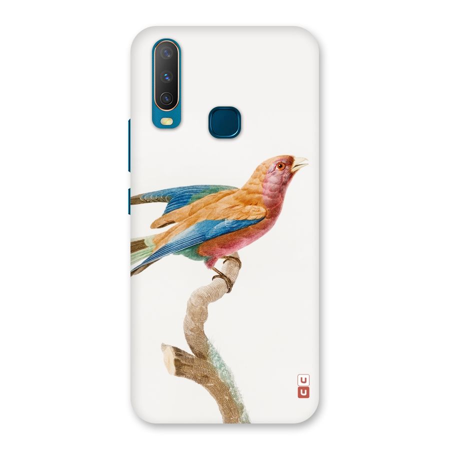 Beautiful Bird Back Case for Vivo Y11