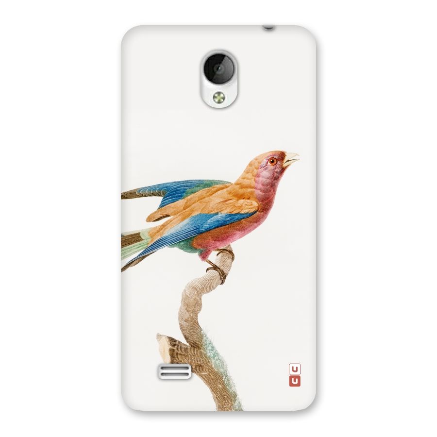 Beautiful Bird Back Case for Vivo Y21
