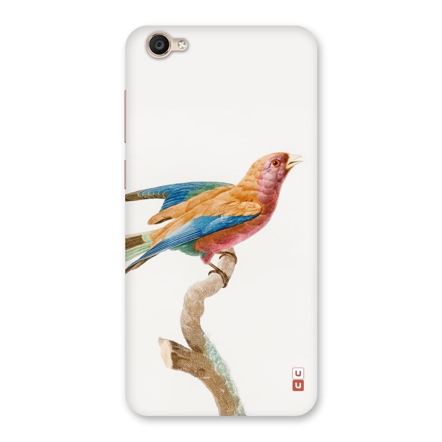 Beautiful Bird Back Case for Vivo Y55s