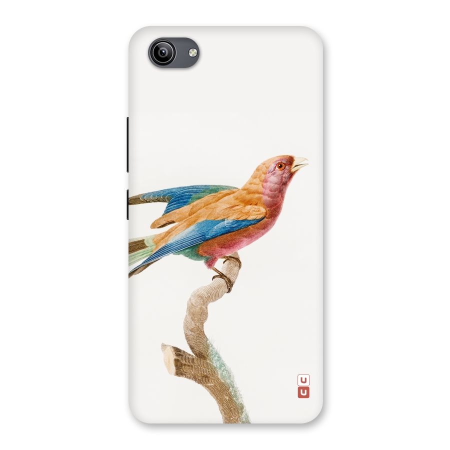 Beautiful Bird Back Case for Vivo Y81i