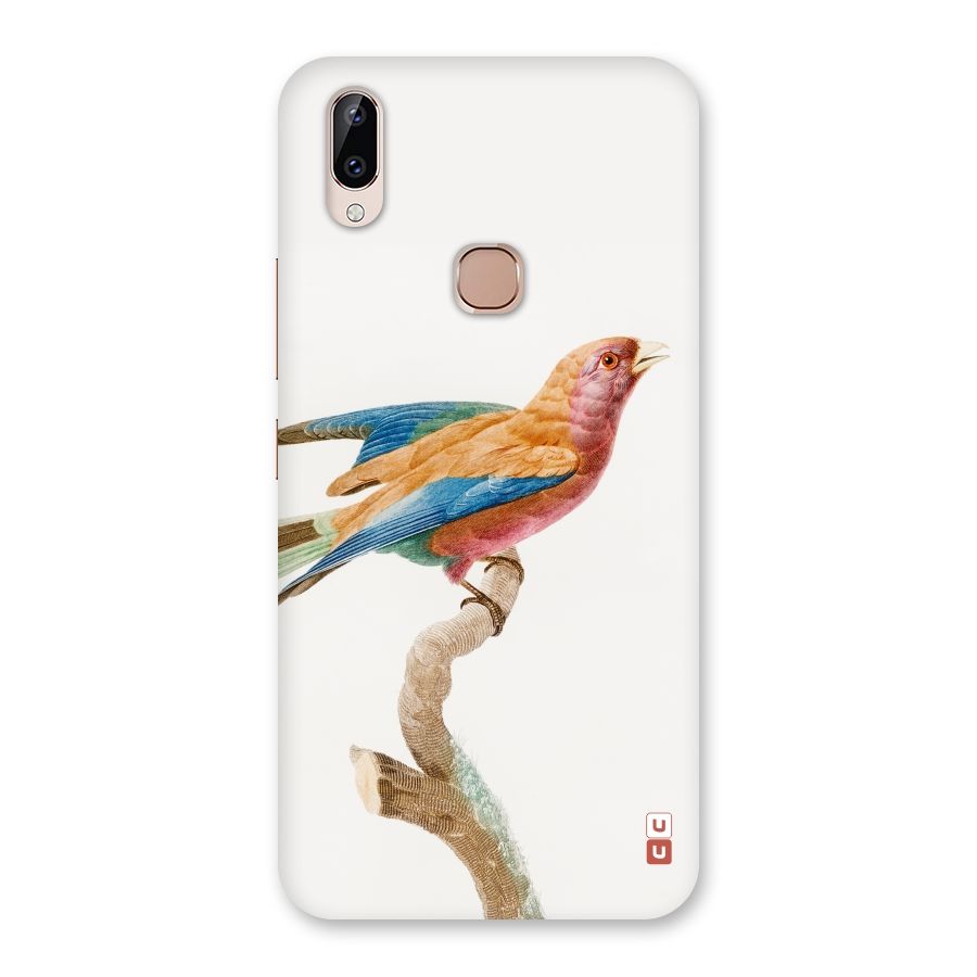 Beautiful Bird Back Case for Vivo Y83 Pro