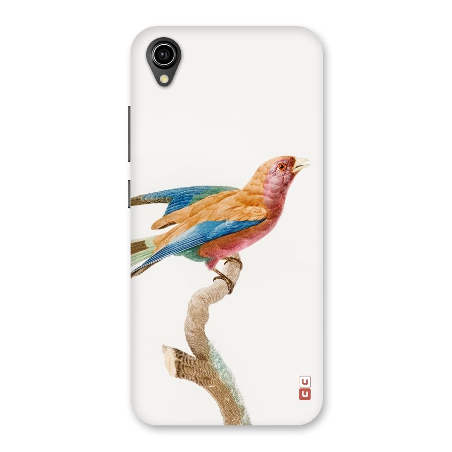 Beautiful Bird Back Case for Vivo Y90